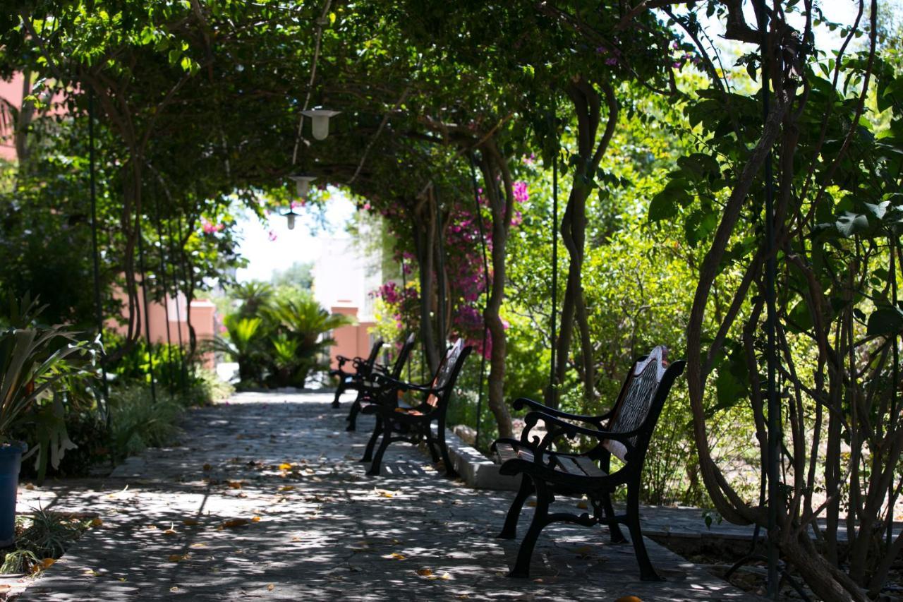 Villa Pampalone - B&B In Dimora Storica Trapani Zewnętrze zdjęcie
