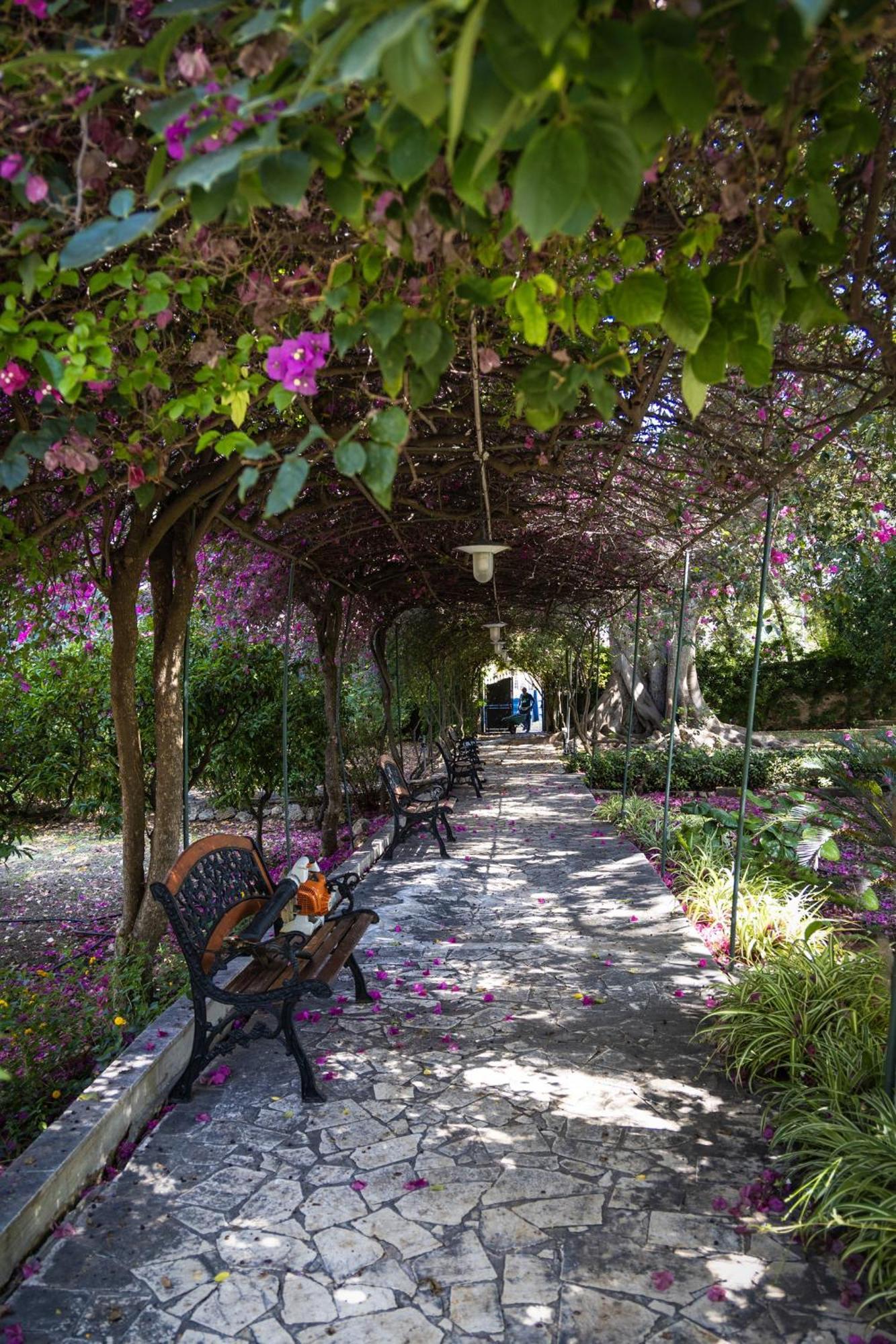 Villa Pampalone - B&B In Dimora Storica Trapani Zewnętrze zdjęcie