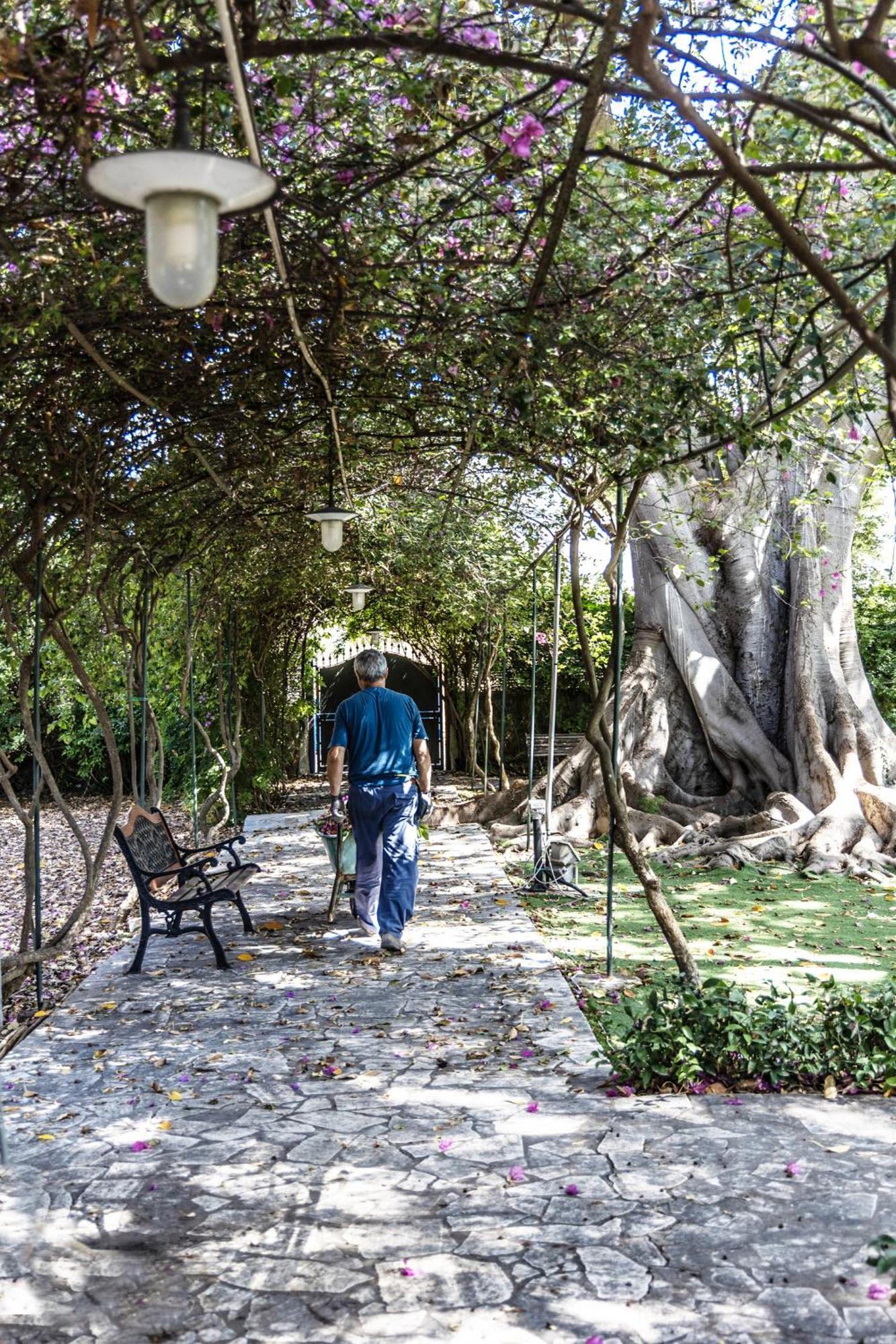 Villa Pampalone - B&B In Dimora Storica Trapani Zewnętrze zdjęcie